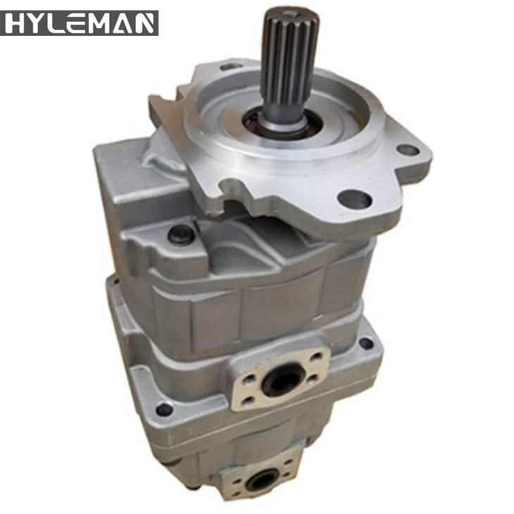 Kinijos didmenininkas Wa320 pavarų siurblys