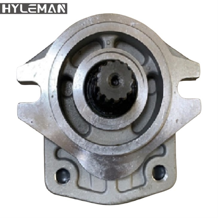 Sgp2-44D-L13t hidraulinis pilotinis pavaros siurblys