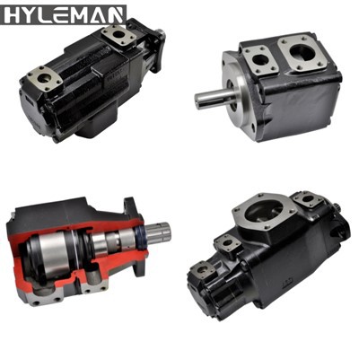 T6GCCT67GCBT7GBB serijos fiksuotas mentės siurblys