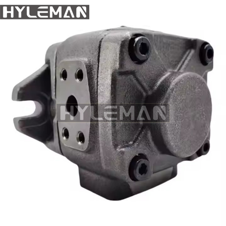 VG serijos servo šukos spaudos siurblys